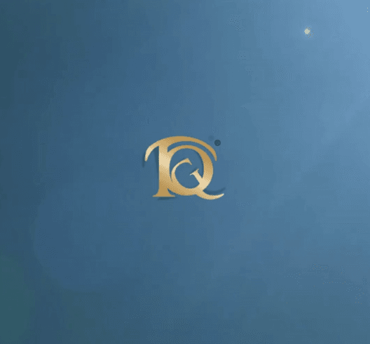 plenaria TQG 2025